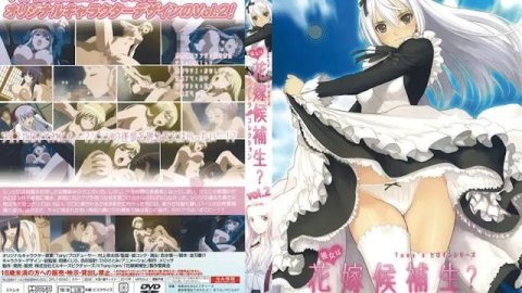 H动漫 她是新娘候补生？灰姑娘精选集 2【中文字幕】