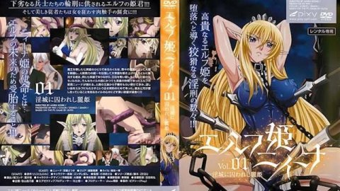 妖精公主妮娜 第1卷 被囚禁于淫靡城堡的美丽公主 中文字幕